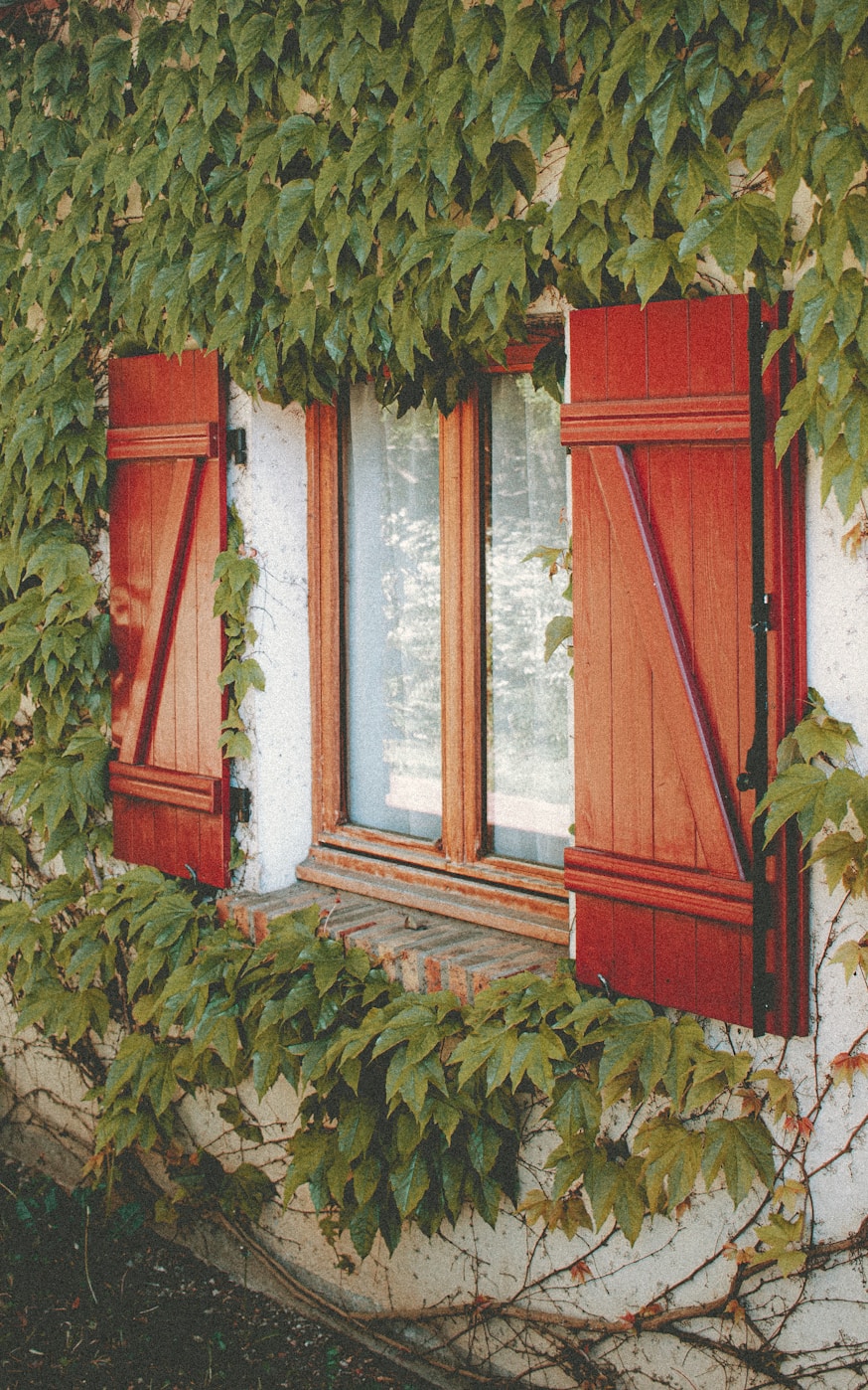 Fermetures en bois — volets et portes traditionnelles